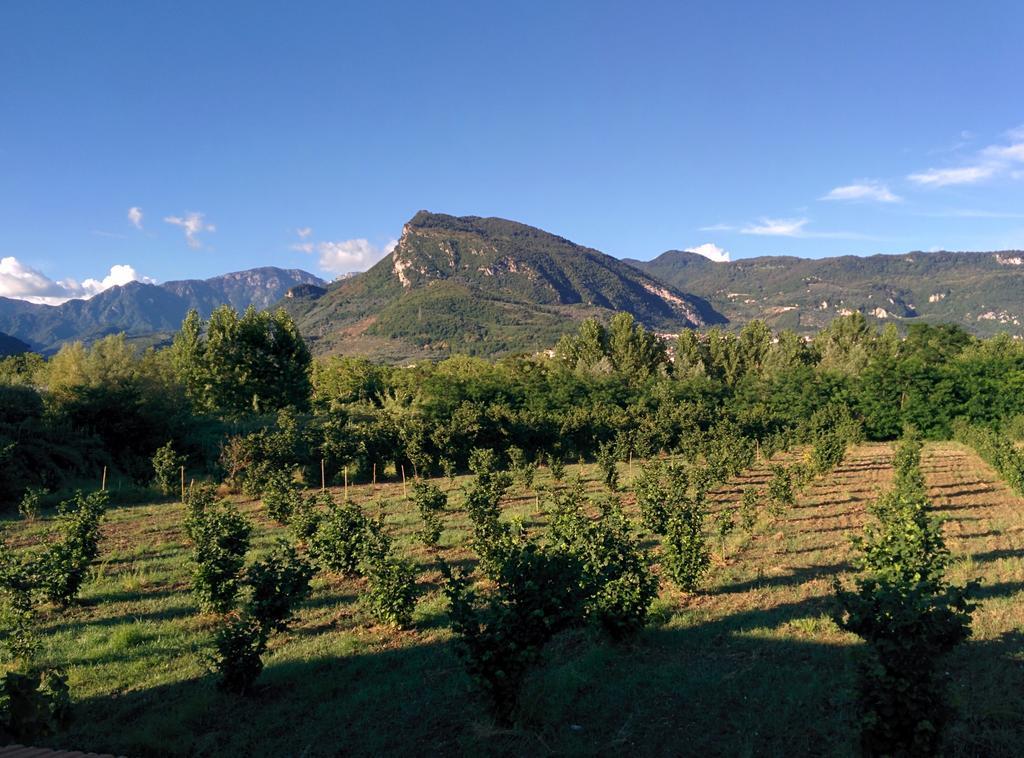 La Luna Nel Fiume Giffoni Valle Piana Bagian luar foto